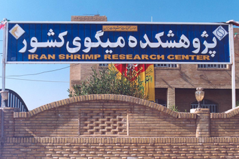 برگزاری کارگاه آموزشی ایمنی، بهداشت و مدیریت پسماند نانومواد در محل پژوهشکده میگوی کشور